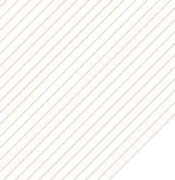 Administradores de fincas castellon